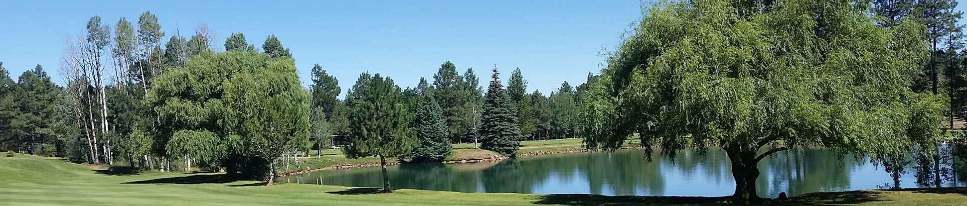 Course Overview Pinetop Lakes Golf and Country Club